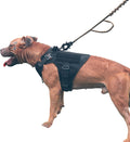 ICEFANG GN1 Reflective Tactical Dog Harness Medium - Durable No Pull