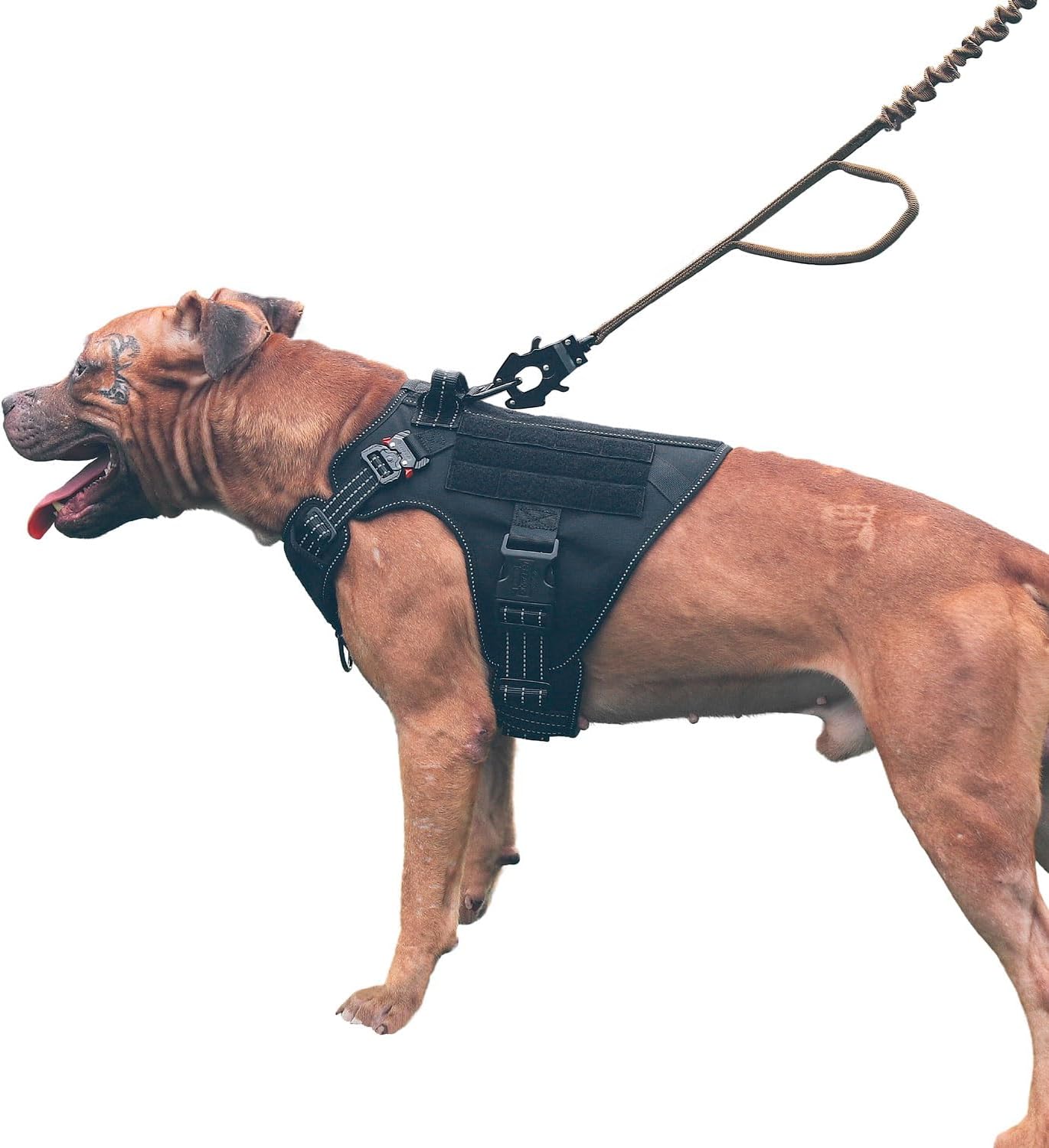 ICEFANG GN1 Reflective Tactical Dog Harness for Medium Dogs