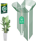 30 in Plant Support Stakes 12 Pack - Heavy-Duty Half Round Supports