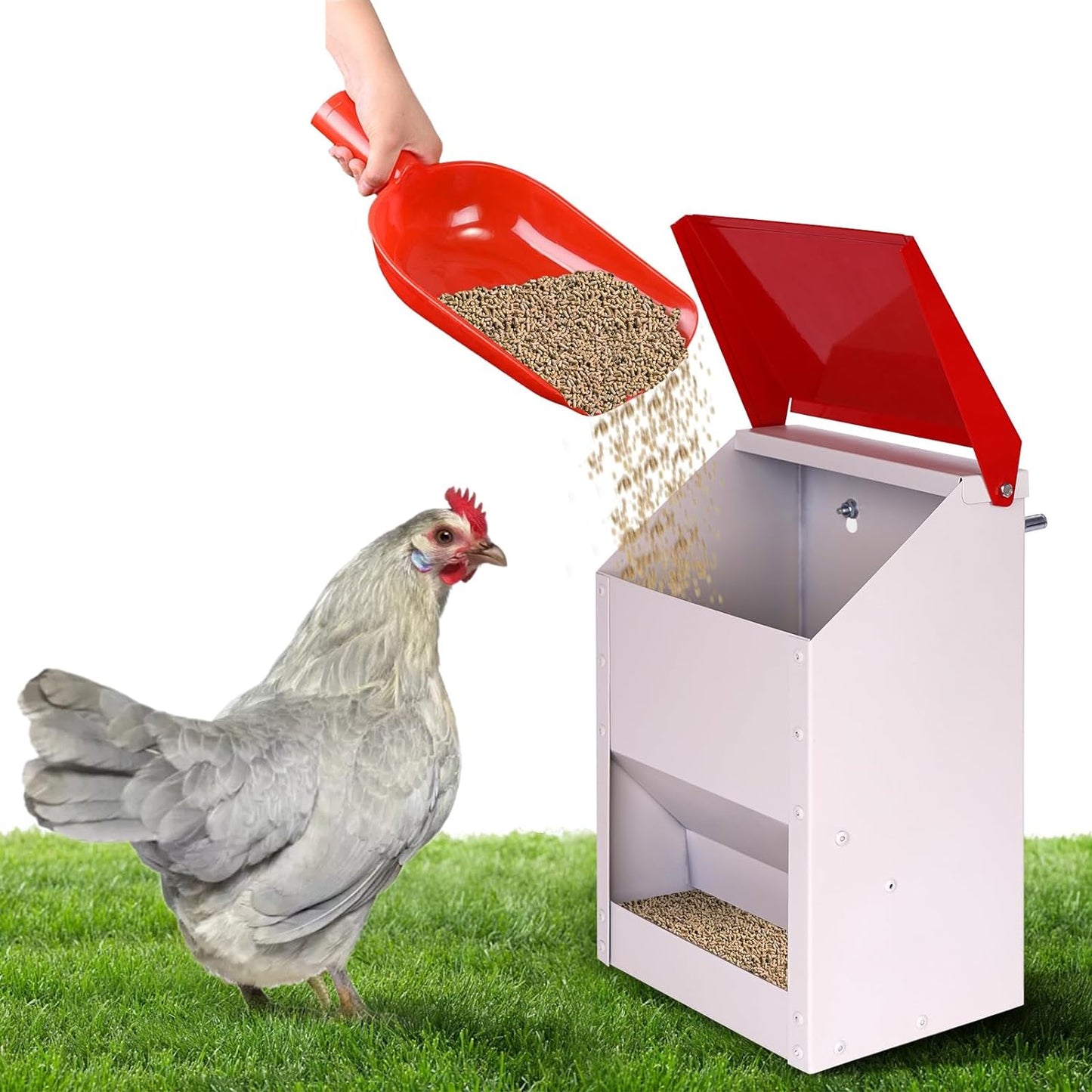 Galvanized Wall Mount Chicken Feeder for No Waste Feeding
