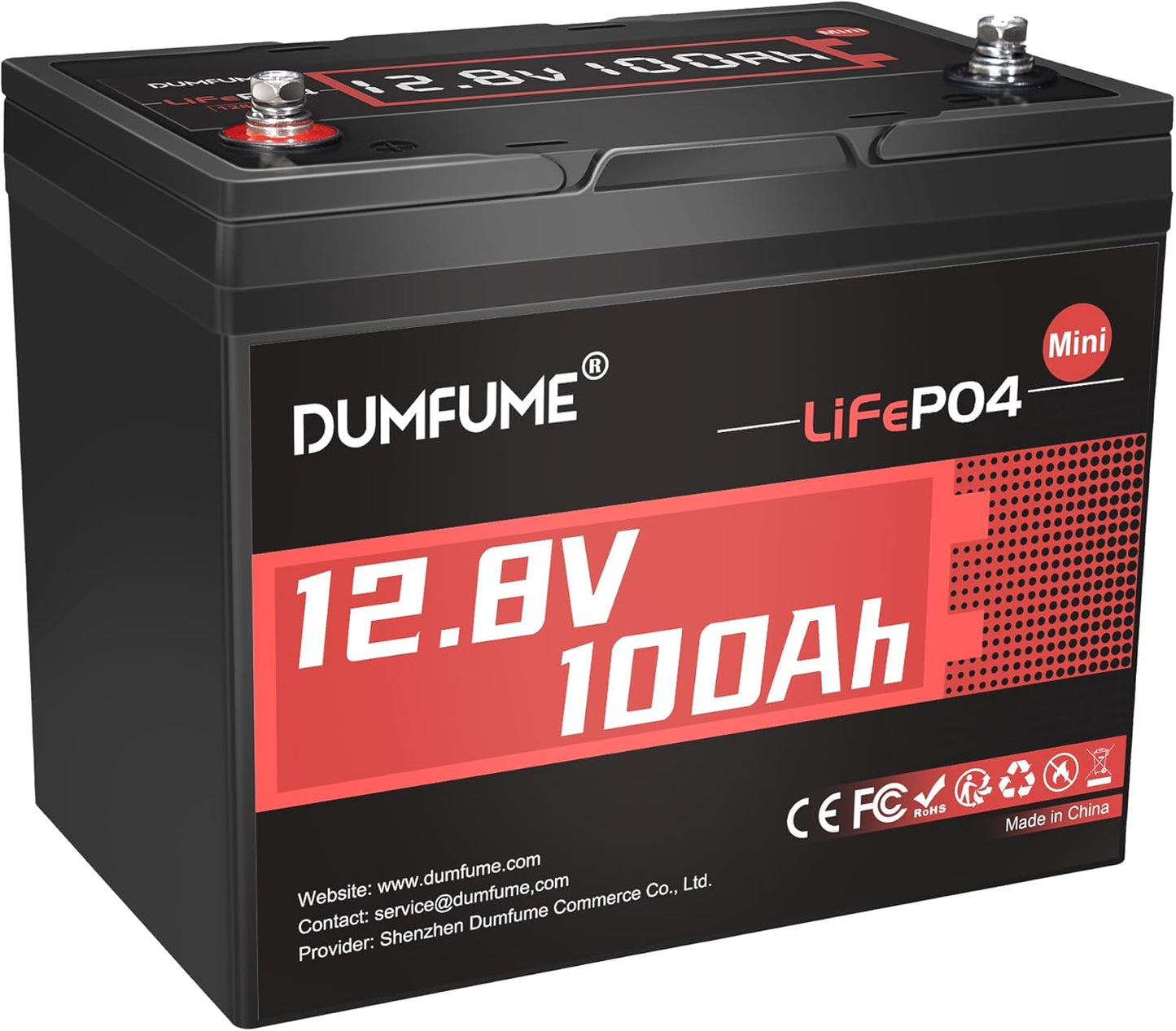 12V 100Ah Mini LiFePO4 Lithium Battery for RV and Solar Use