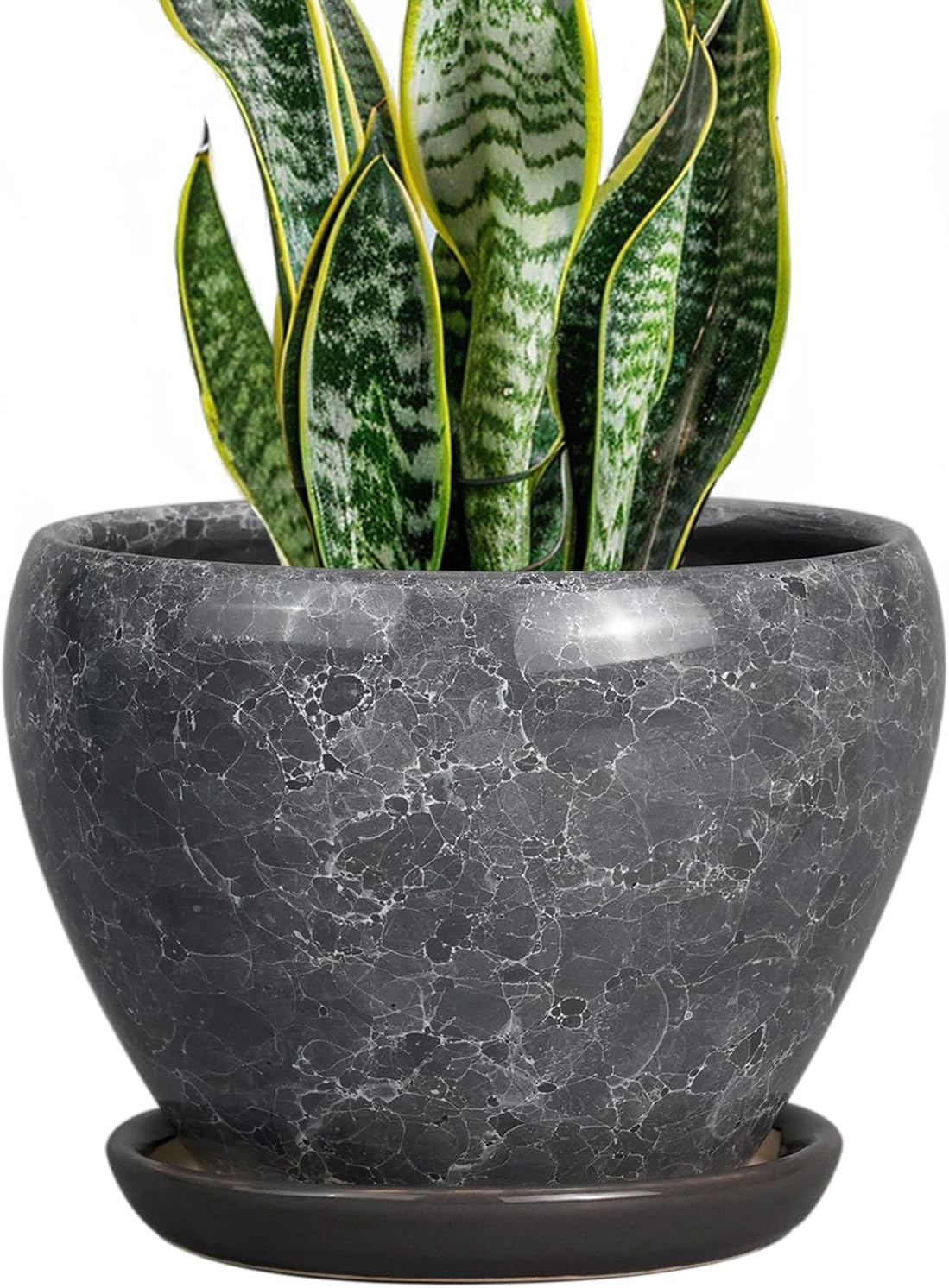 8 Inch Ceramic Plant Pot with Drainage Hole for Indoor Plants