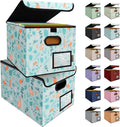 BALEINE File Organizer Box with Lid 2 Pack - Letter Size, Spring