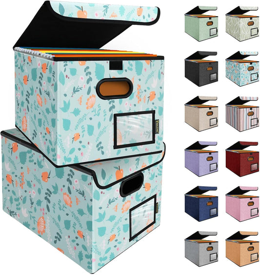 BALEINE File Organizer Box with Lid for Efficient Document Storage