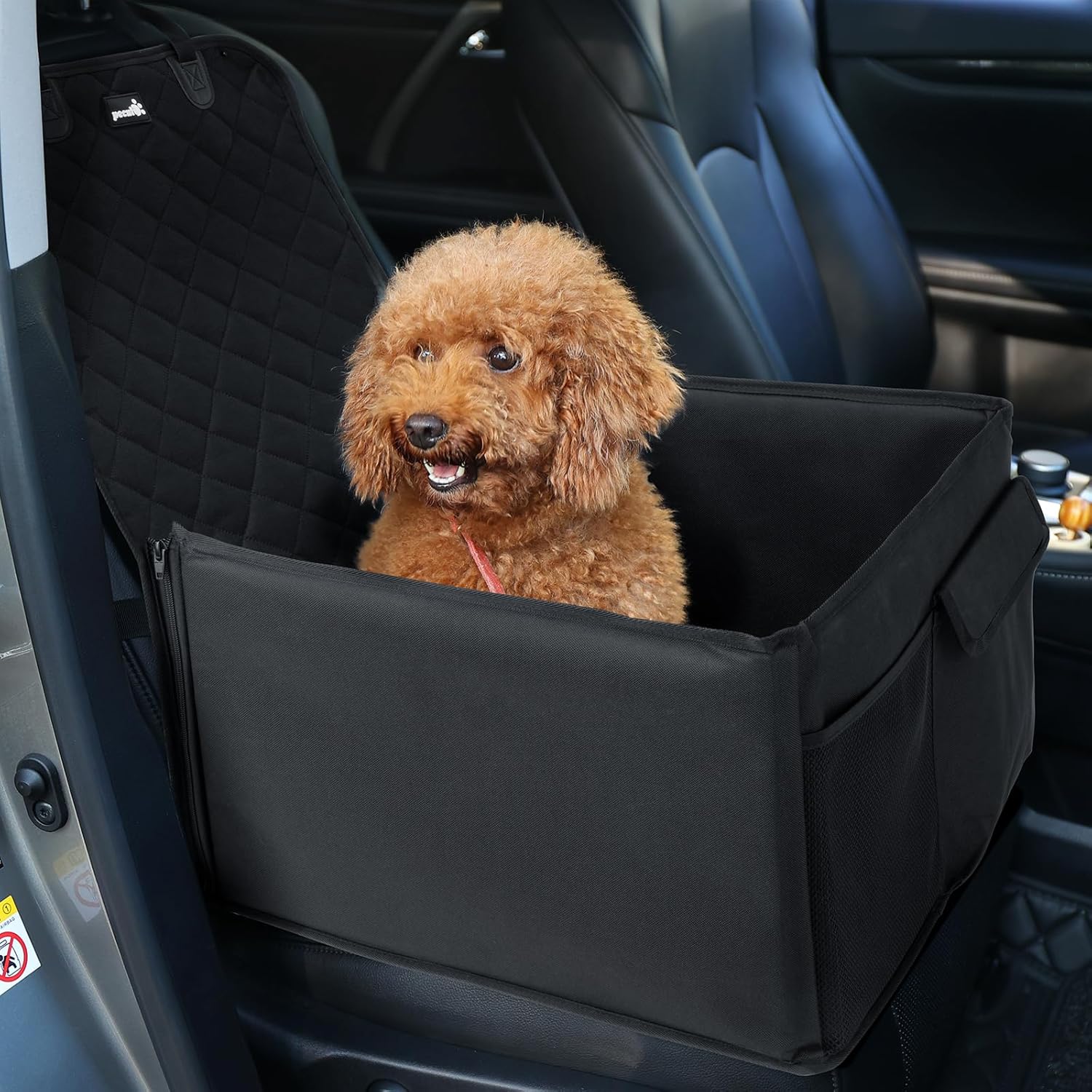 Pecute Small Dog Car Seat: Anti-Collapse & Portable!