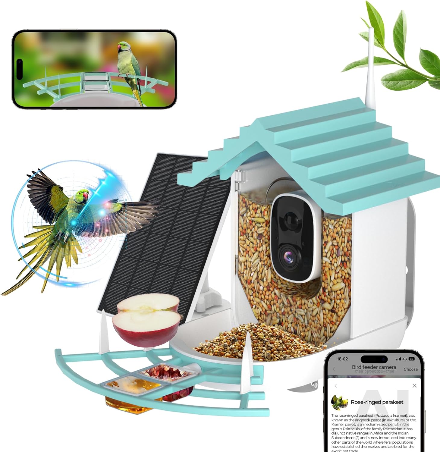 Wireless Solar Bird Feeder Camera - Secusly