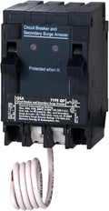 Whole House Surge Protection 15 Amp Dual Breaker - Panel-Mounted