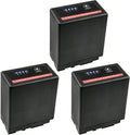 Kastar 3-Pack VW-VBG6 Pro Battery Replacement - High Capacity 6800mAh