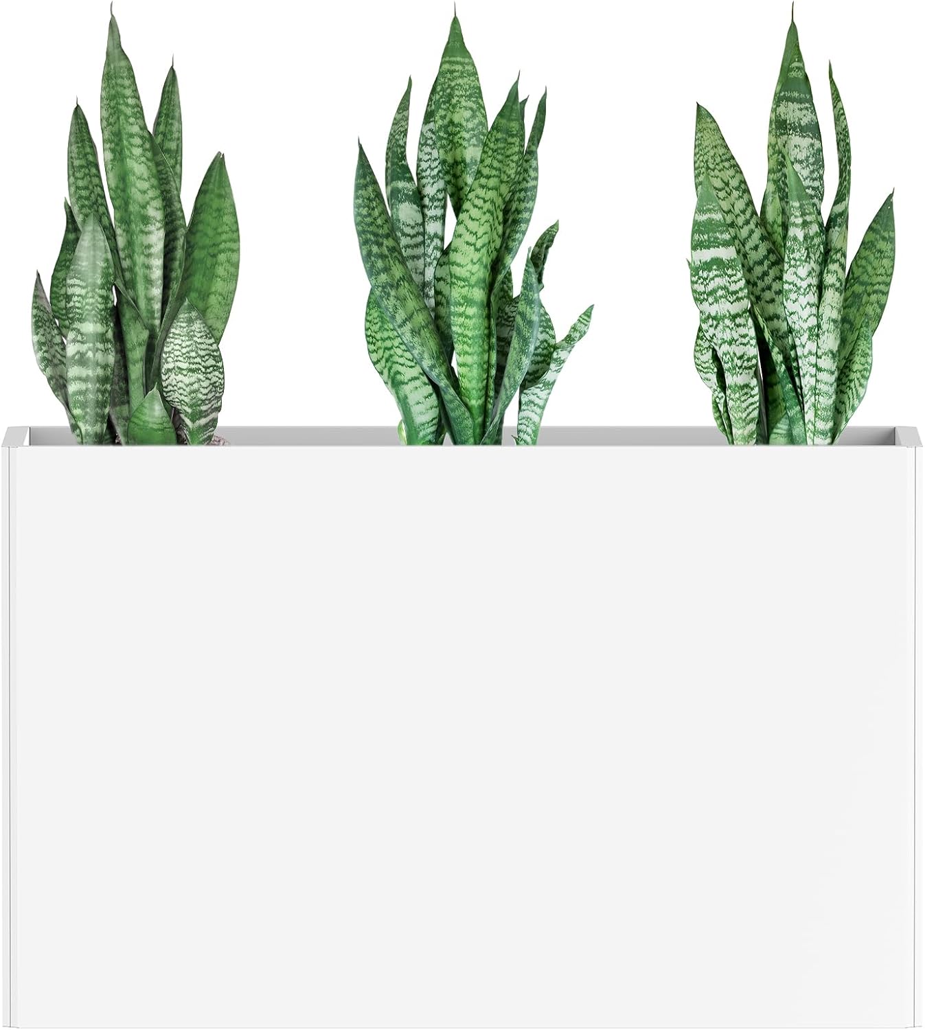 Heavy-Duty Galvanized Steel Planter for Indoor and Outdoor Use