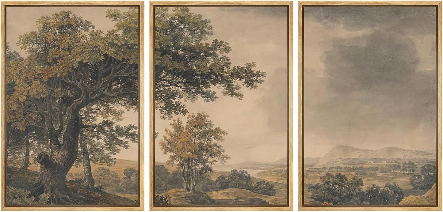 MUDECOR Framed Wall Art Print Set for Vintage Landscape Decor