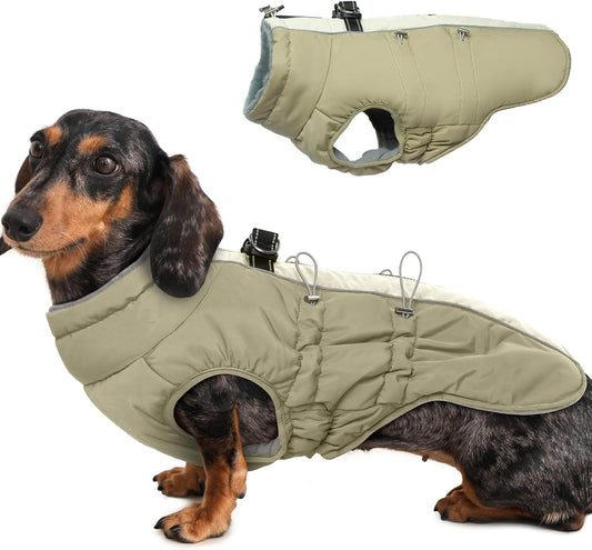 Medium Dog Coat for Winter - Warm Snowsuit with Harness Design