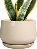Ceramic Planter 7 in Round Pot with Drainage - Beige