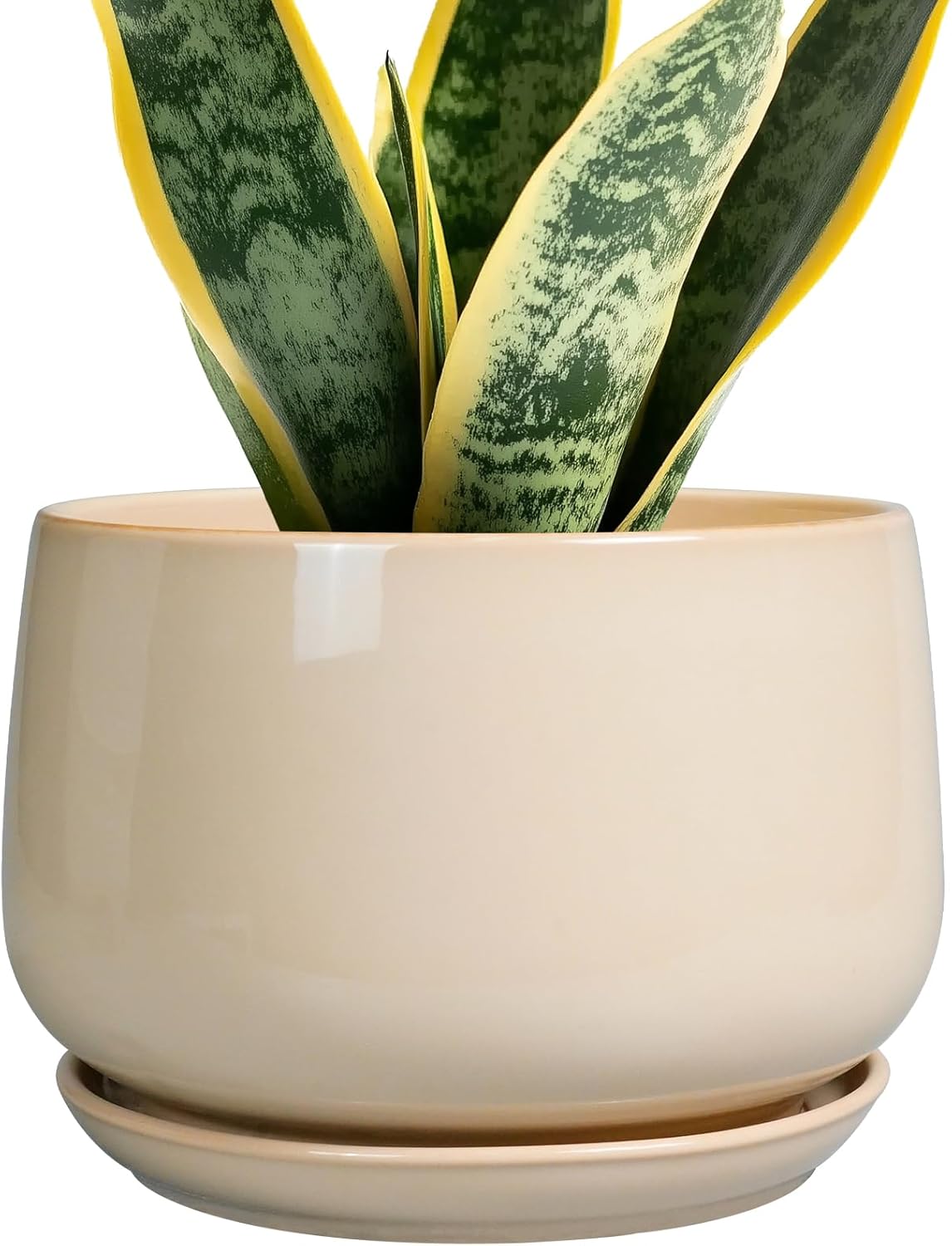 G EPGardening 7 Inch Ceramic Planter with Drainage for Indoor Plants
