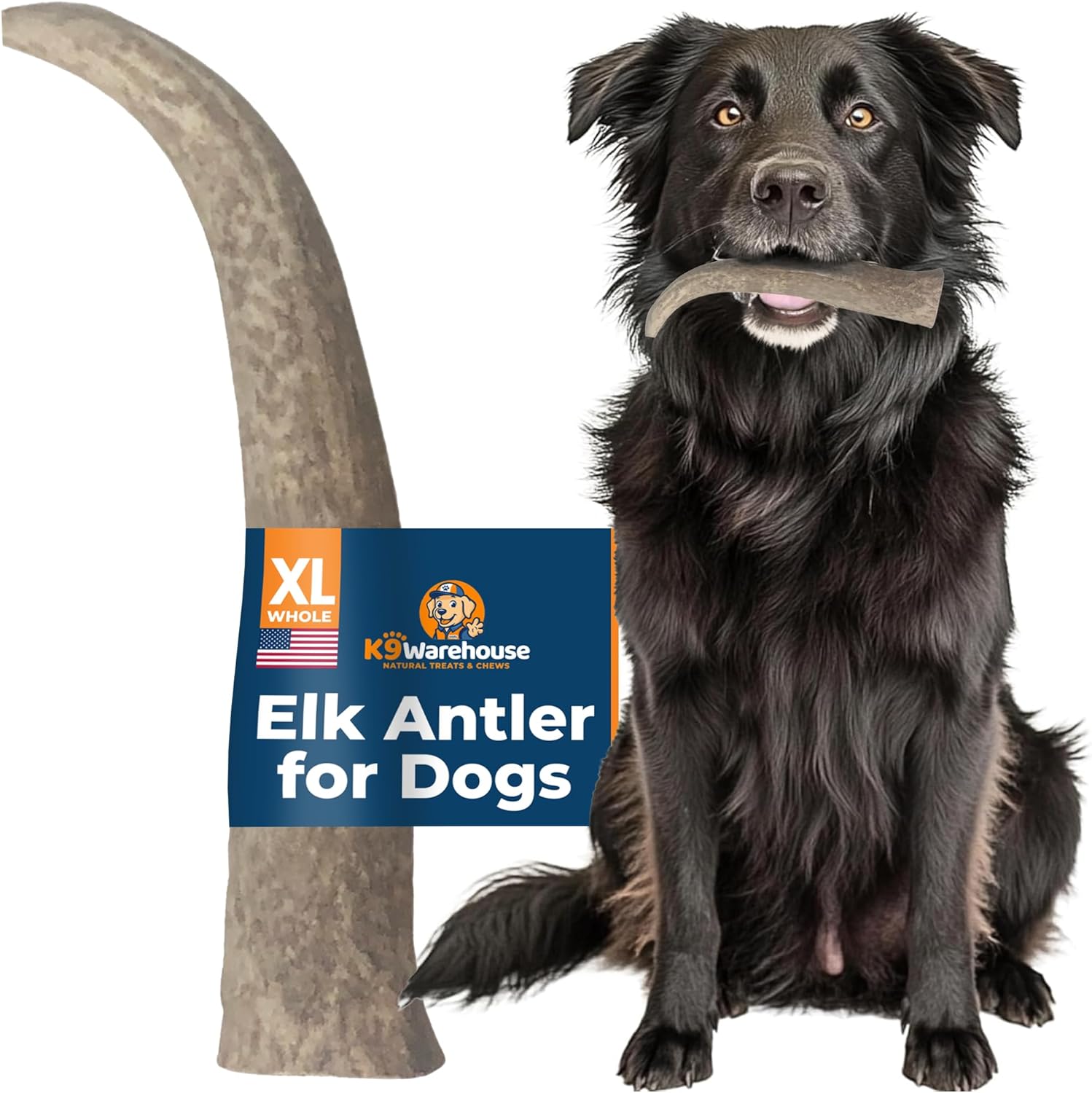 Natural Elk Antlers for Dogs - Premium Chews for Aggressive Chewers