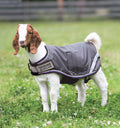 Horseware Goat Coat (100g Light) - Warm, Adjustable Protection