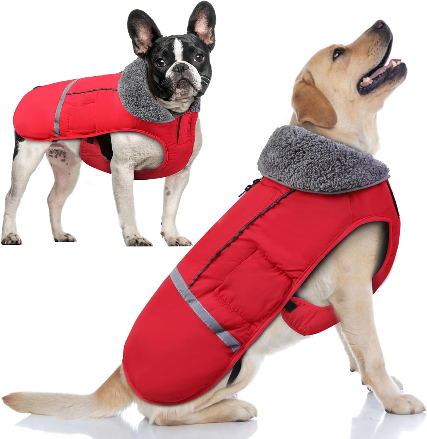 Doglay Dog Coat - Waterproof Jacket for Cold Weather Pets