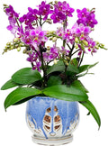 Orchid Pot with Holes and Saucer 6.5 in - Blue and White Ceramic