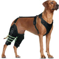 Dog Knee Brace for ACL CCL Injuries - Rear Leg Support L