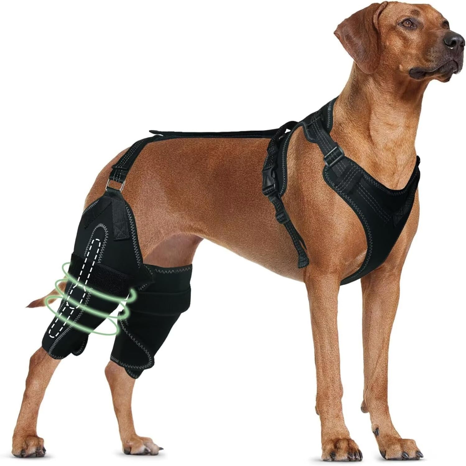 Dog Knee Brace for ACL/CCL Injuries - Pain Relief & Support