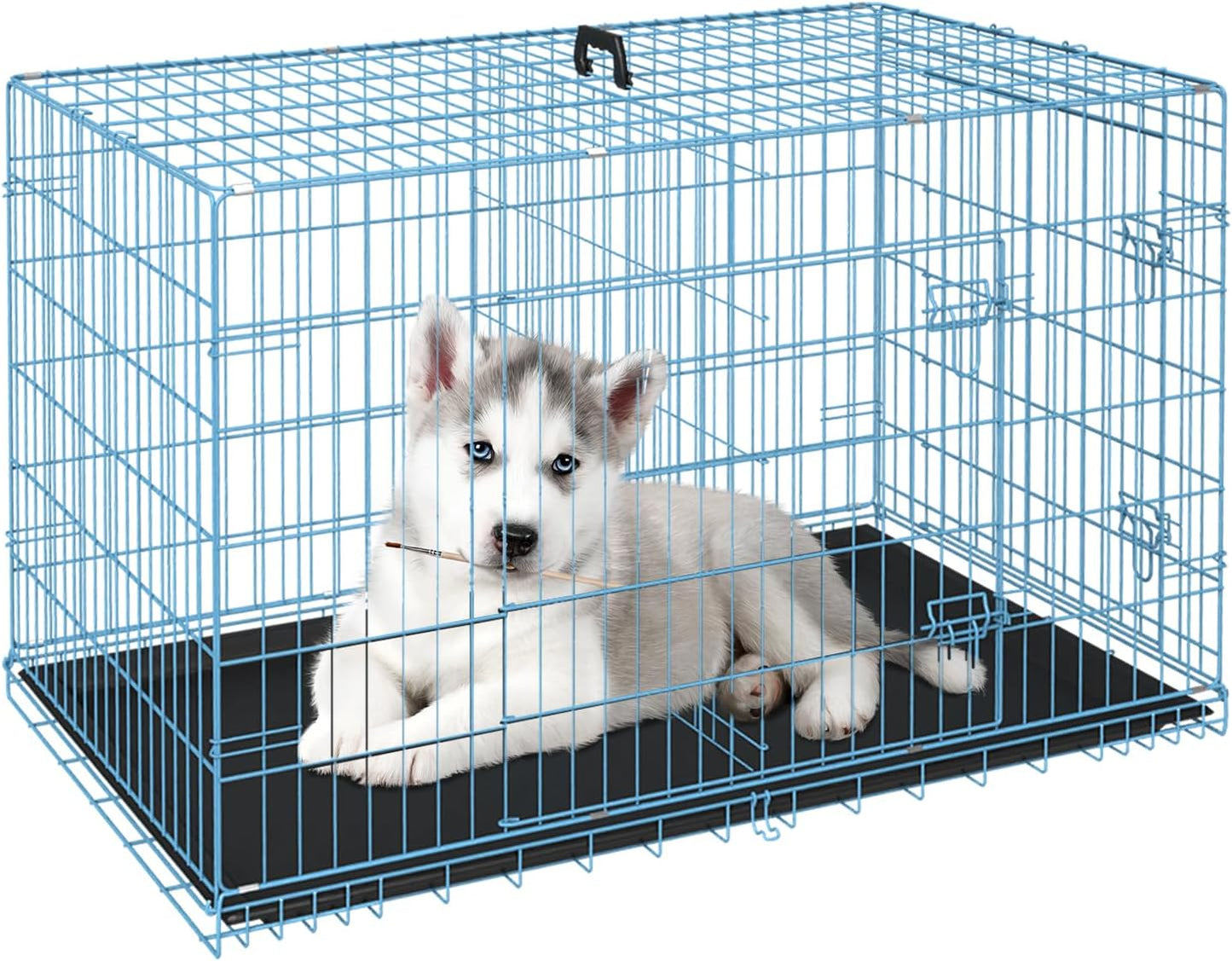 FDW Dog Crate for Small Dogs 24 Inch Folding Metal Wire Cage
