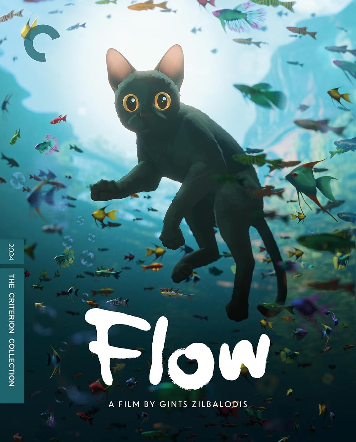 Flow 4K UHD - A Stunning Visual Experience from Criterion