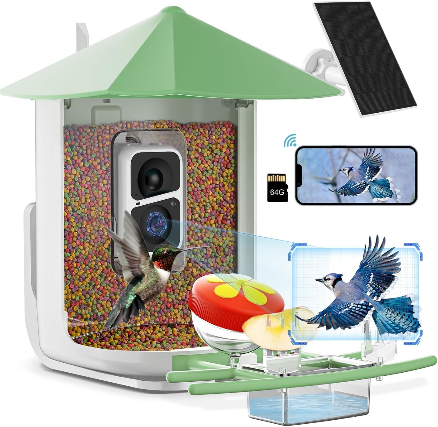 Smart Bird Feeder Camera: Capture Birds Automatically