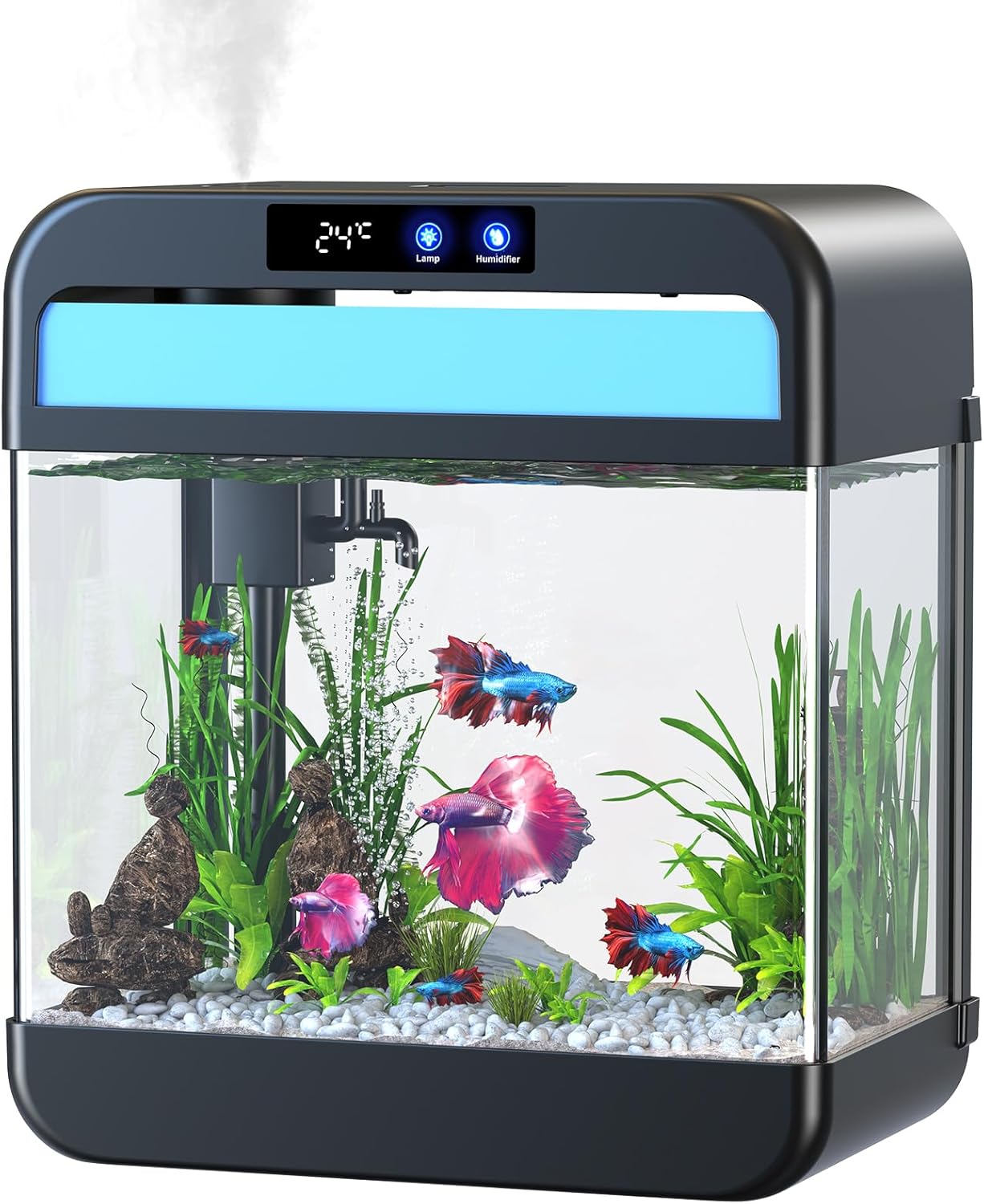 2.2 Gallon Fish Tank with Humidifier and Colorful Lighting