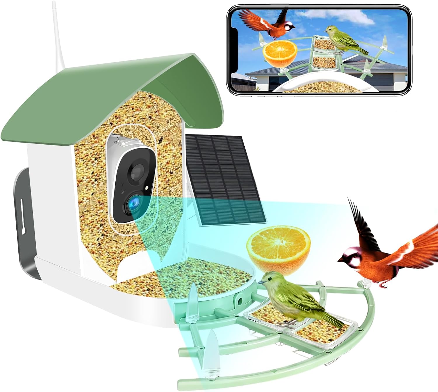 AI Bird Feeder Camera - Identify & Capture 10K Birds!