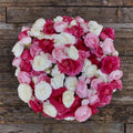 Eden Brothers Ranunculus Bulbs - Homecoming Mix - Vibrant cut flowers