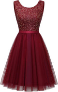Sequin A Line Mini Dress Vintage Swing Tulle Cocktail Dress - Elegant