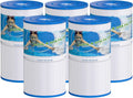 TOREAD Watkins 31489 Compatible Spa Filter TRF-6430 - 30 sq ft