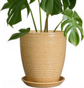 Pot for Plants 8 Inch Ceramic Planter - Yellow Indoor Pot