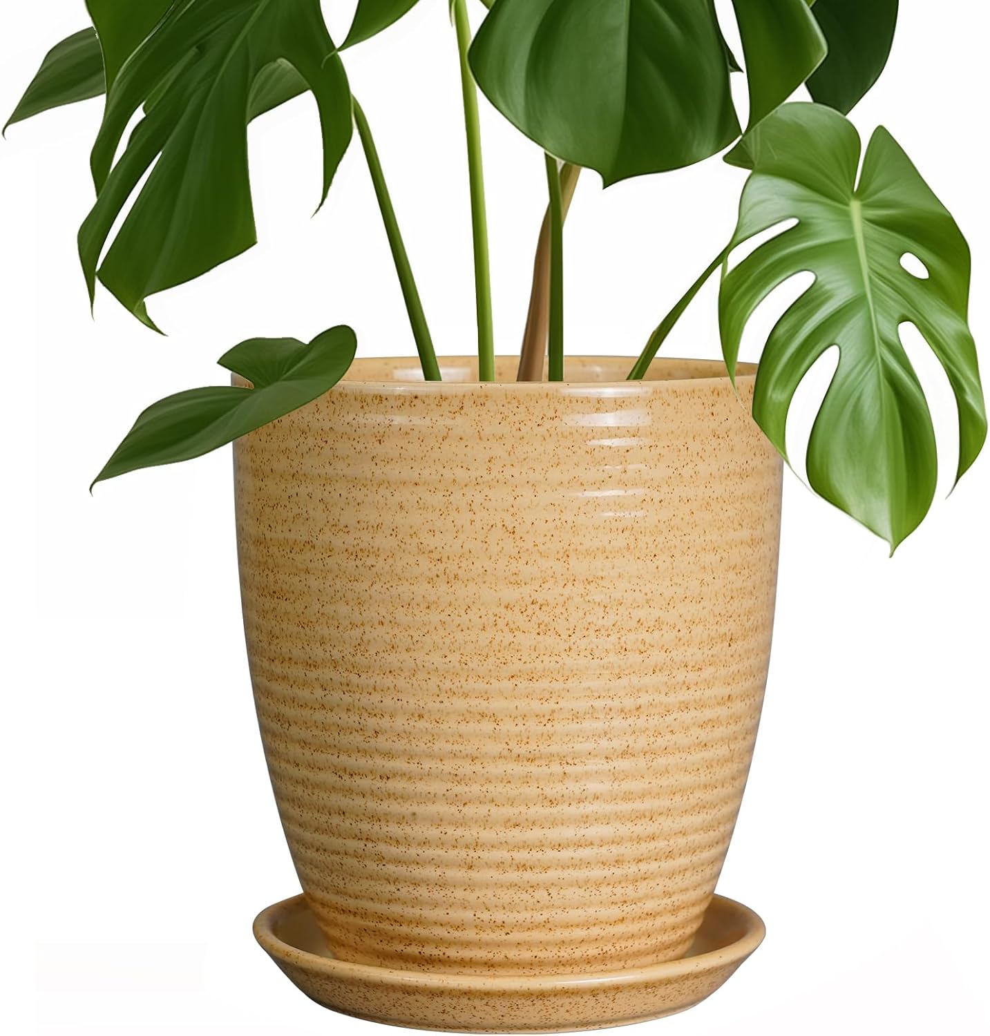 8 Inch Ceramic Planter Pot with Drainage Hole for Indoor Plants