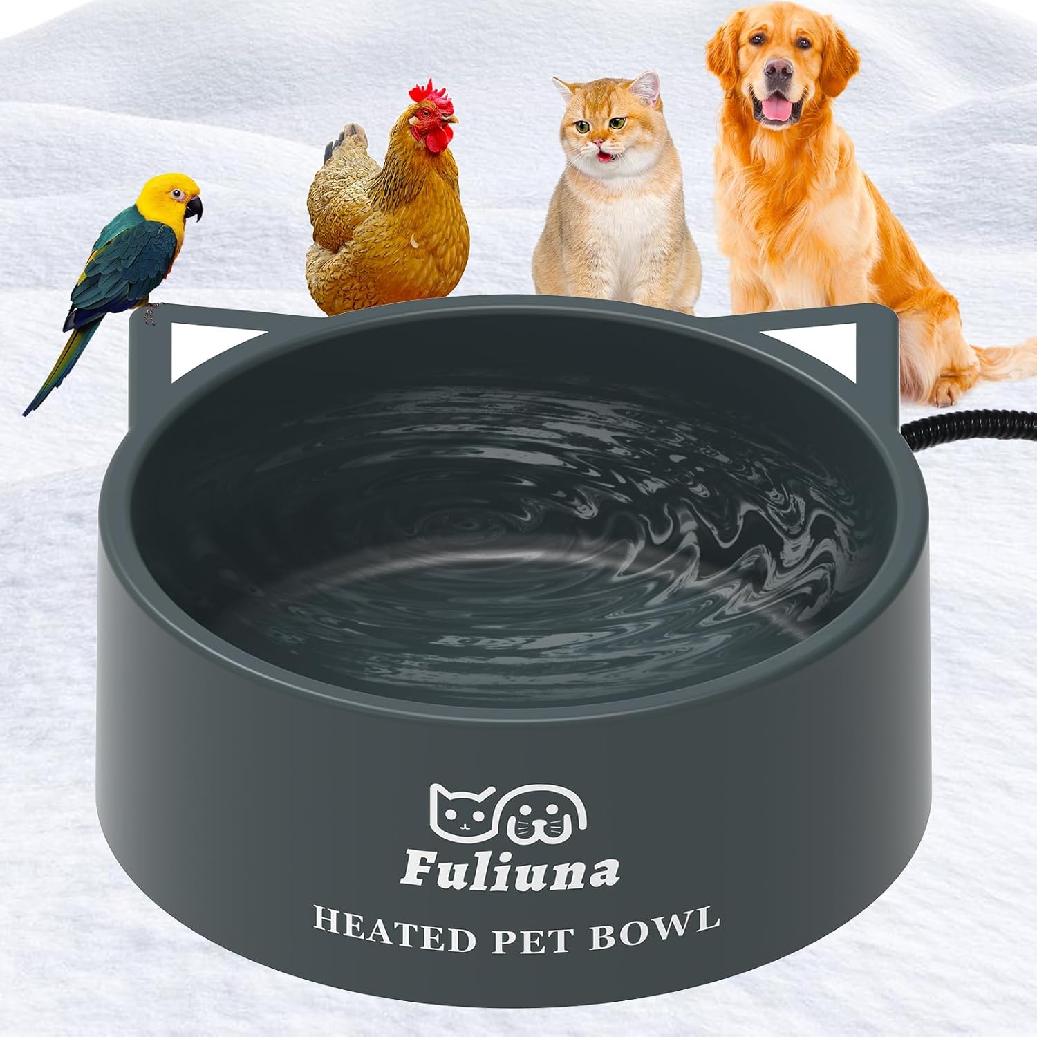 Chew-Resistant Heated Water Bowl for Pets