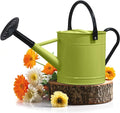 Plexon 1 Gallon Metal Watering Can - Durable Galvanized Design