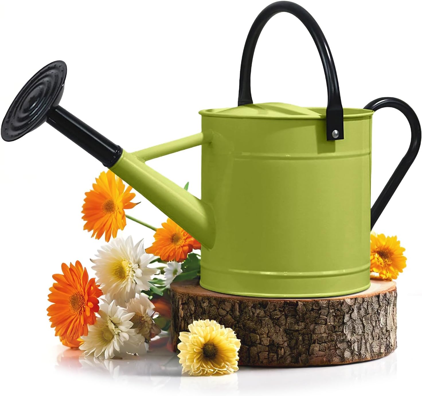 Plexon 1 Gallon Metal Watering Can for Efficient Gardening Tasks