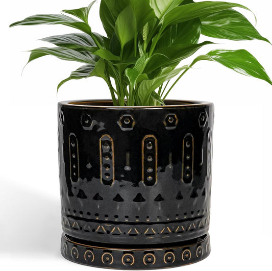 Stylish 8 Inch Ceramic Pot for Plants with Drainage Hole