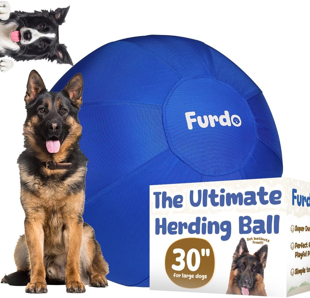 30 Herding Ball for Dogs - Perfect for Large Breeds and Fun