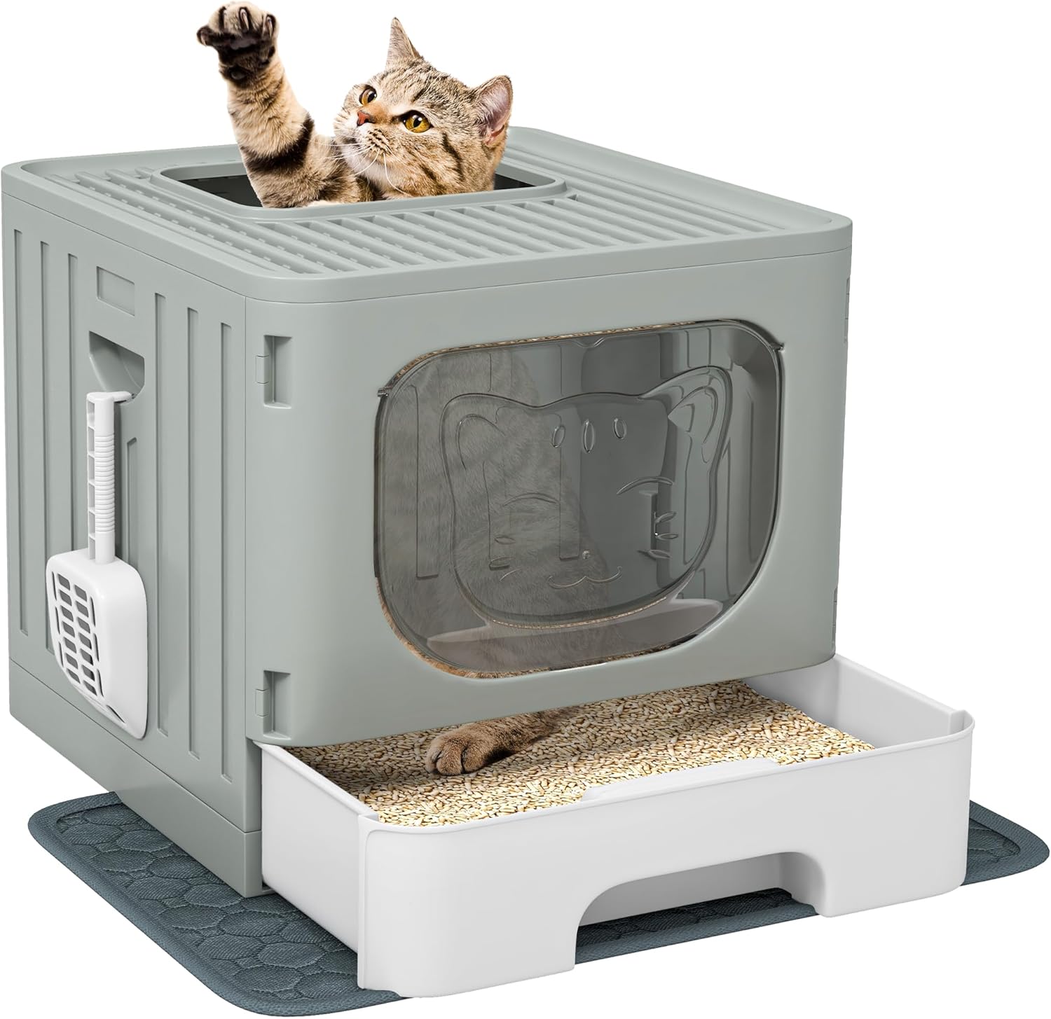 Enclosed Cat Litter Box with Two-Way Entry and Easy Cleaning