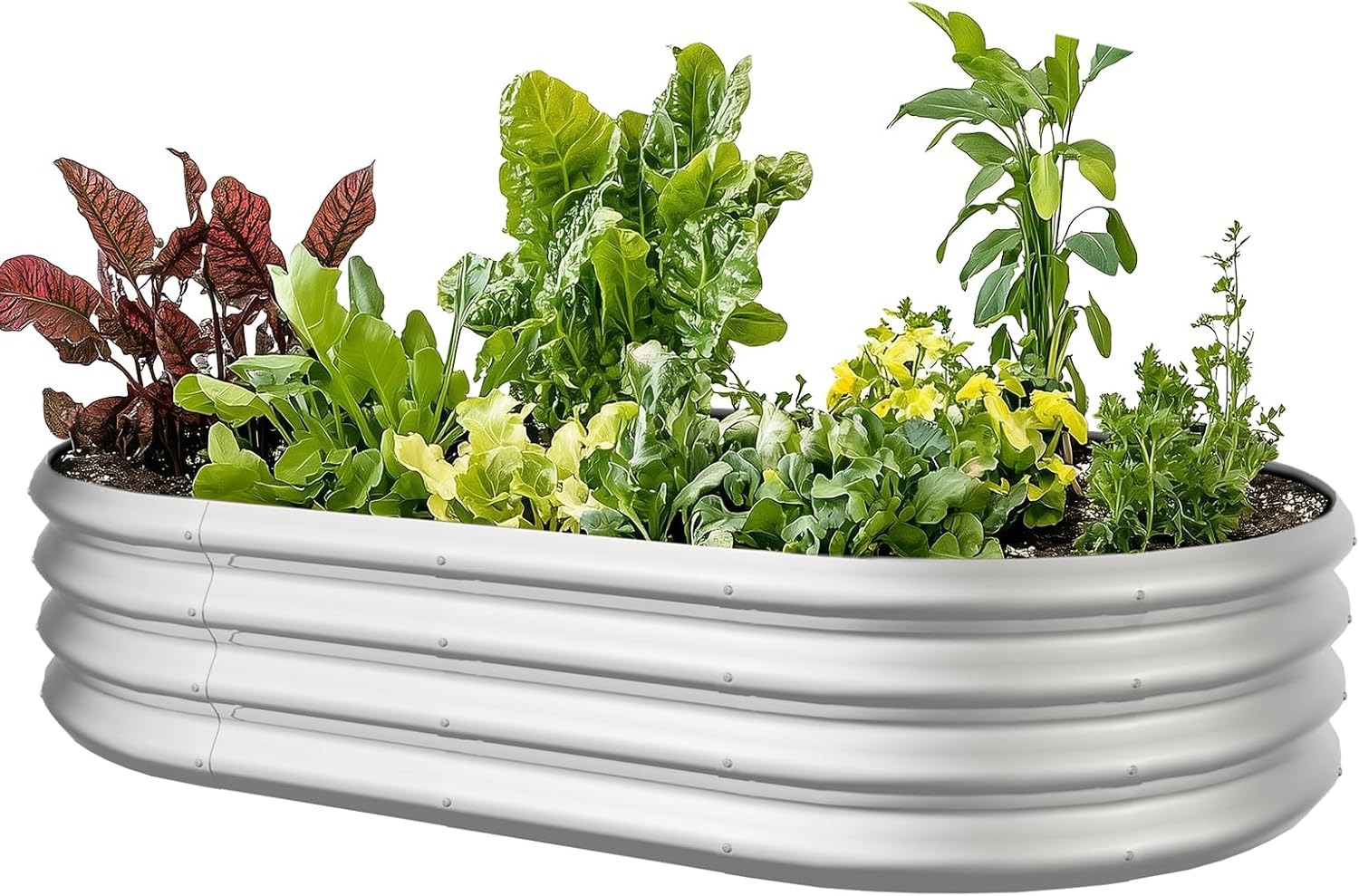 Oval Galvanized Raised Garden Bed for Vegetables and Flowers
