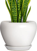 Deep Dream 8 Inch Plant Pot - Ceramic Planter with Drainage Hole