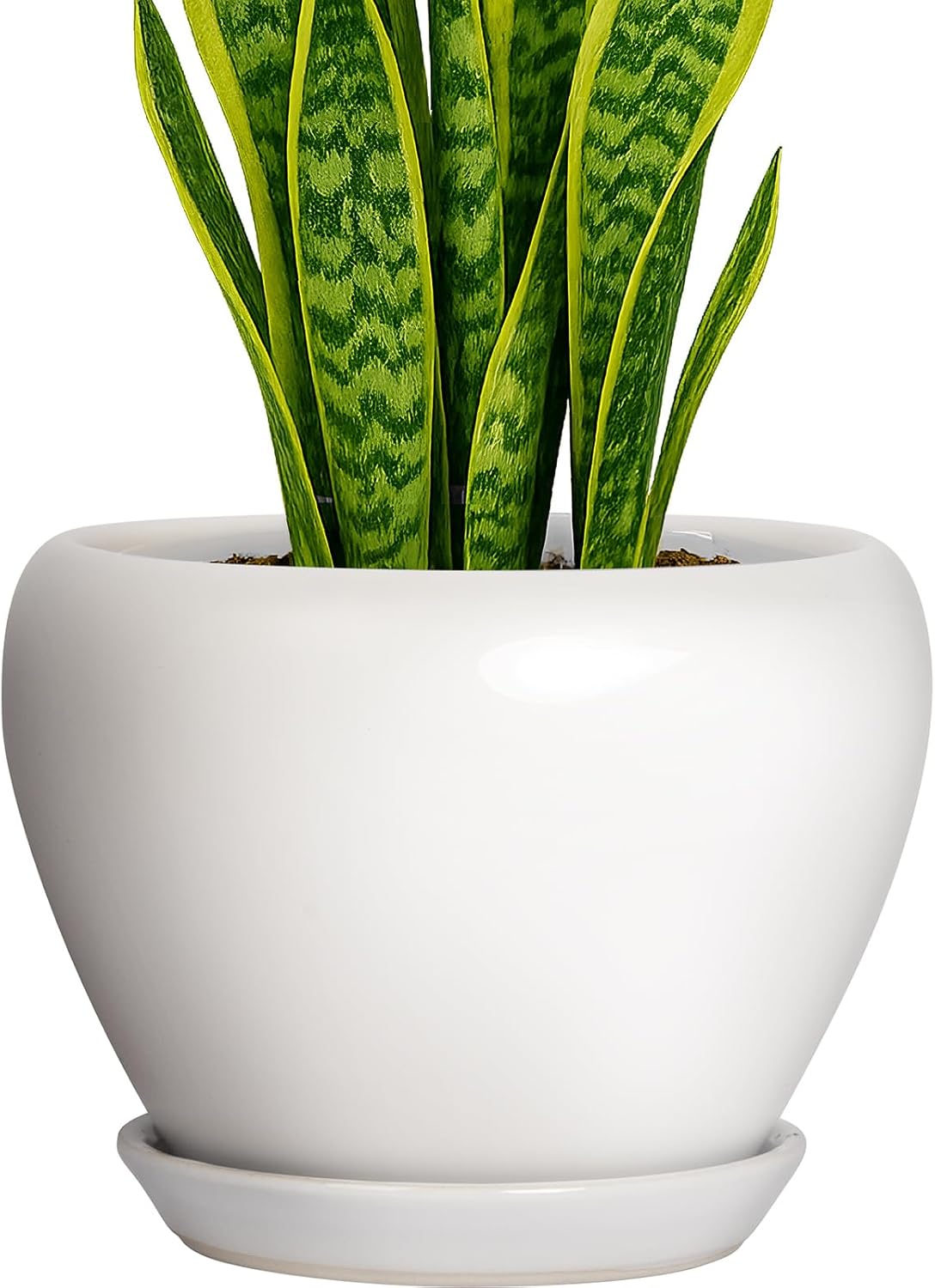 Deep Dream 8 Inch Ceramic Plant Pot with Drainage Hole and Tray