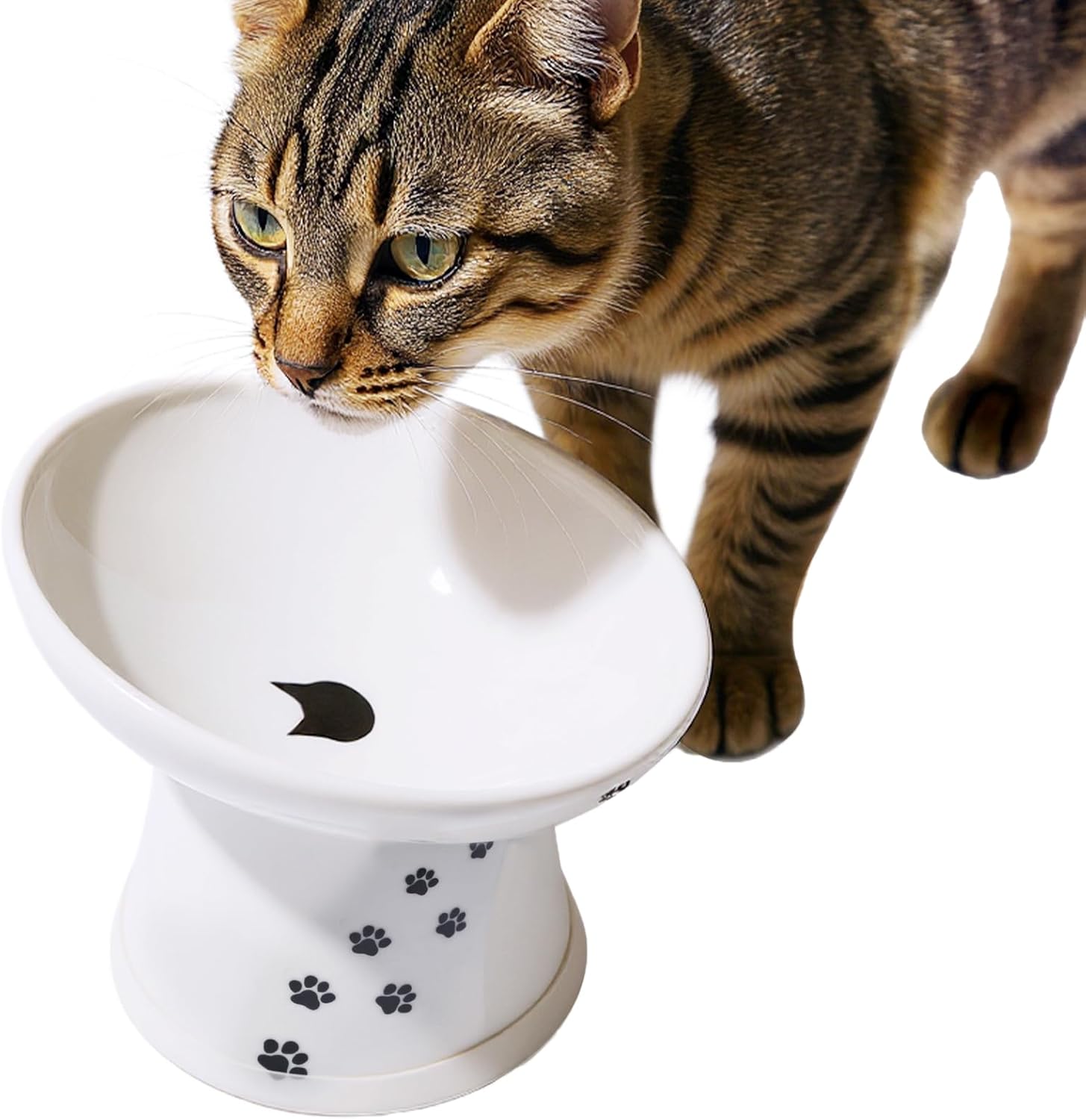 Necoichi Elevated Cat Food Bowl for Whisker Fatigue Relief