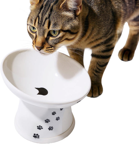 Necoichi Elevated Cat Food Bowl for Whisker Fatigue Relief