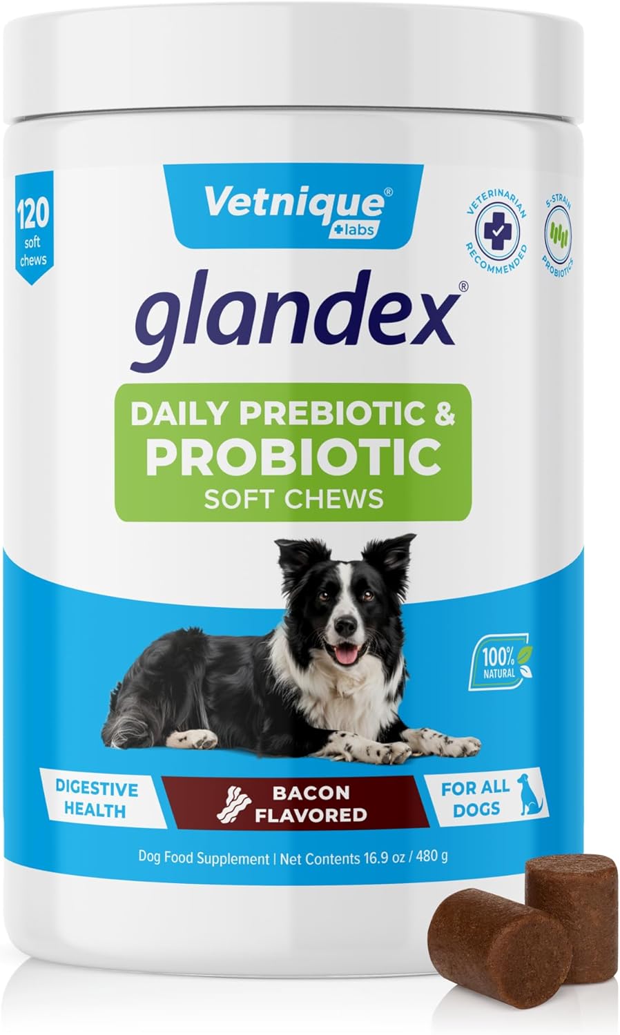 Glandex Daily Probiotics for Dogs - Gut Health Support Chews