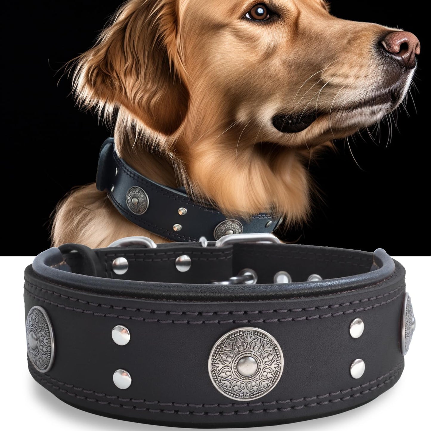 Leather Dog Collar for Large and Medium Breeds, 2 inches Wide