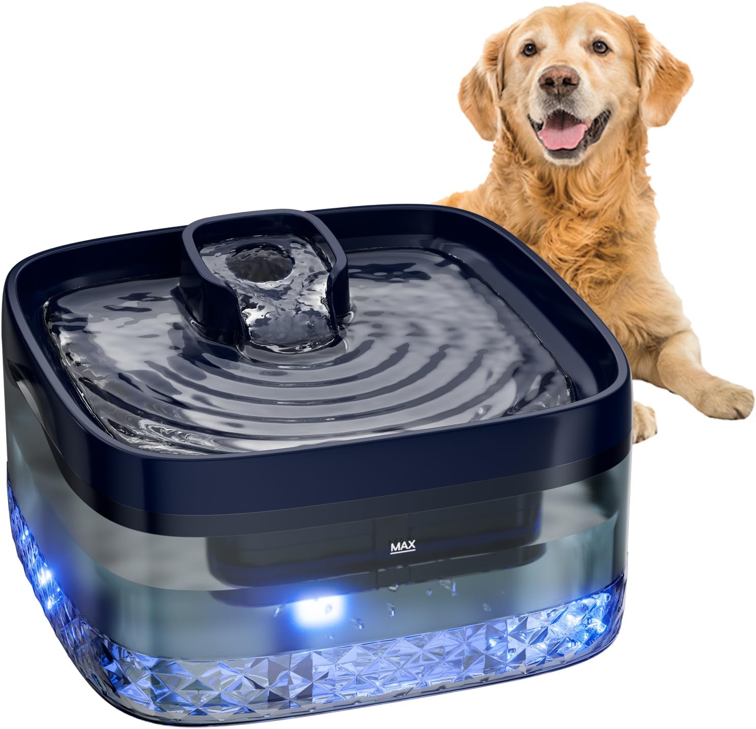 Dog Water Fountain for Large Dogs - 256oz Automatic Dispenser