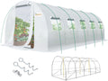 KING BIRD Premium 25x10x6.6FT Greenhouse - Heavy Duty Walk-in