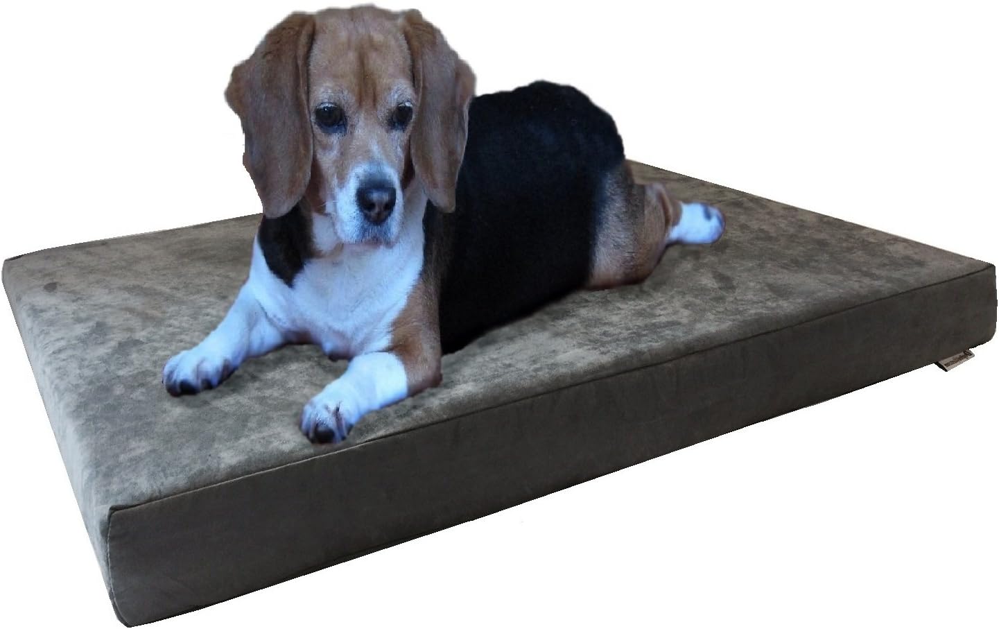 Orthopedic Gel Infused Memory Foam Dog Bed for Comfort