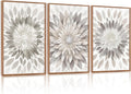 Modern Floral Burst Framed Canvas Wall Art Set - Neutral Botanical